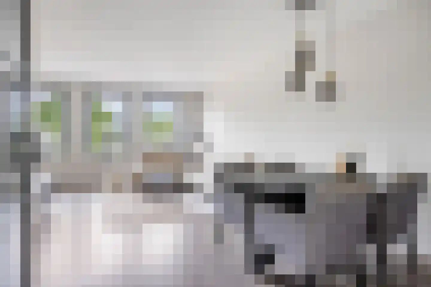 Speenkruid 36 Pijnacker thumbnail 15
