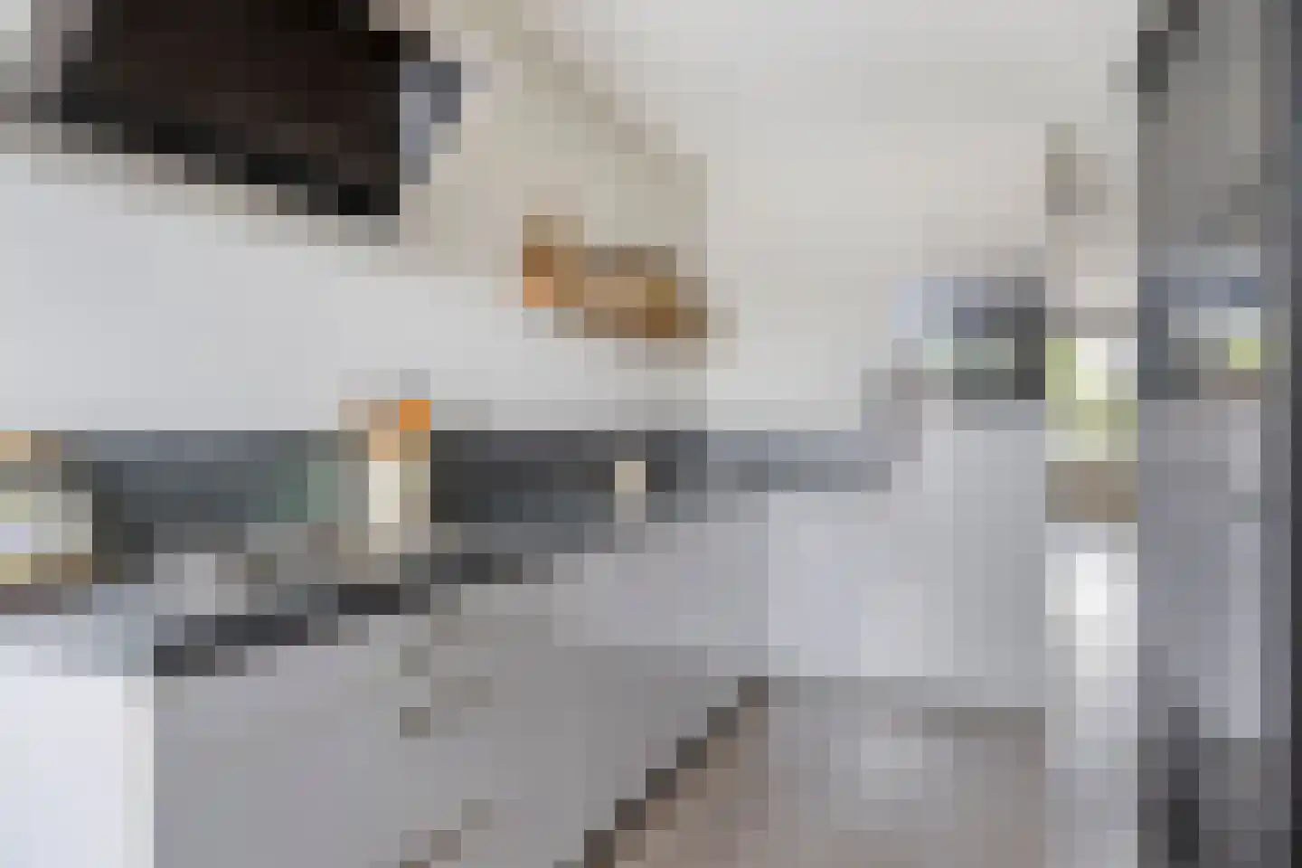 Speenkruid 36 Pijnacker thumbnail 18