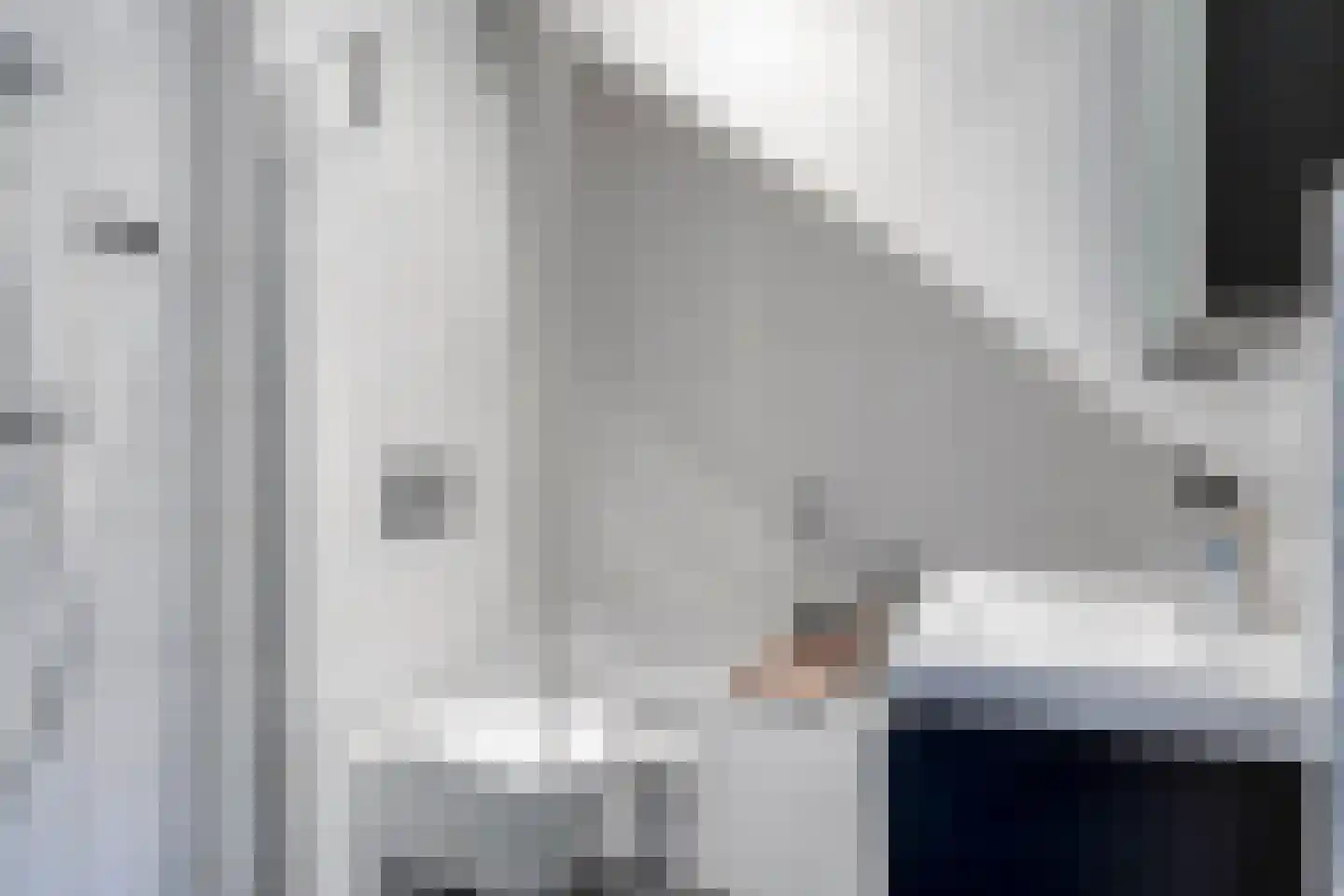 Speenkruid 36 Pijnacker thumbnail 24