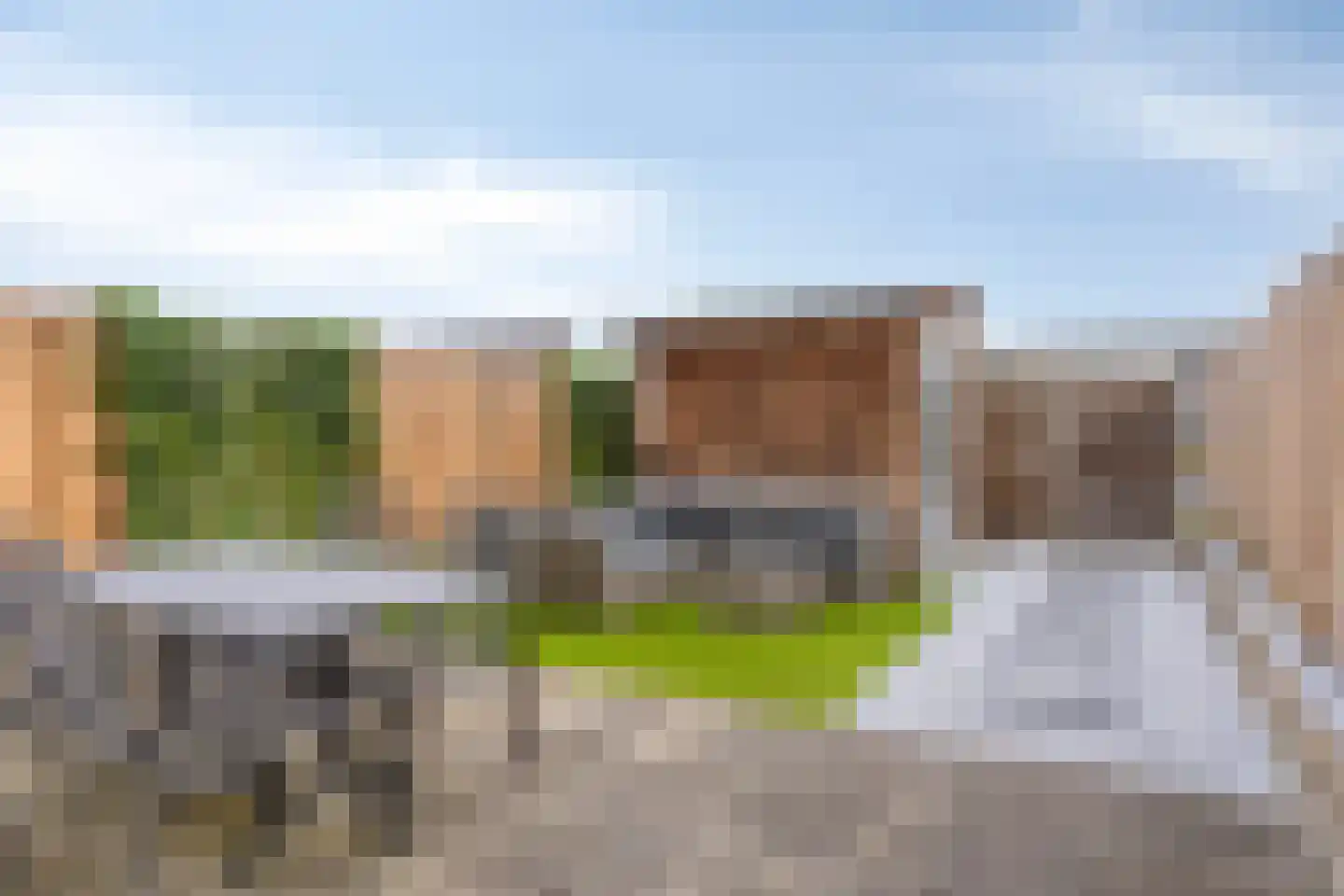 Speenkruid 36 Pijnacker thumbnail 27