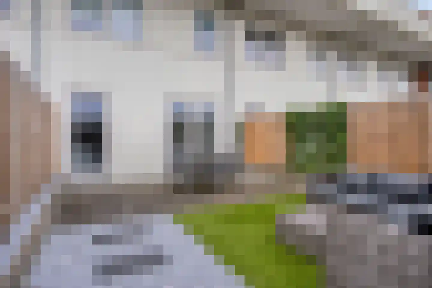 Speenkruid 36 Pijnacker thumbnail 28