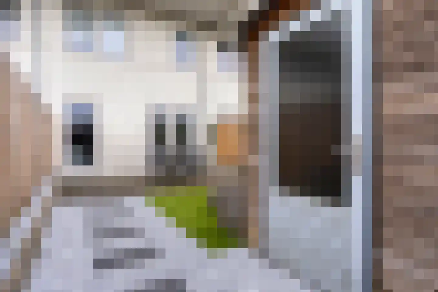 Speenkruid 36 Pijnacker thumbnail 30