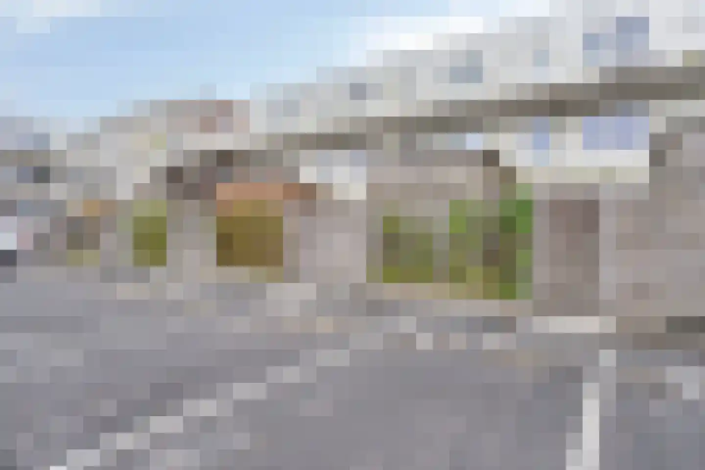 Speenkruid 36 Pijnacker thumbnail 36