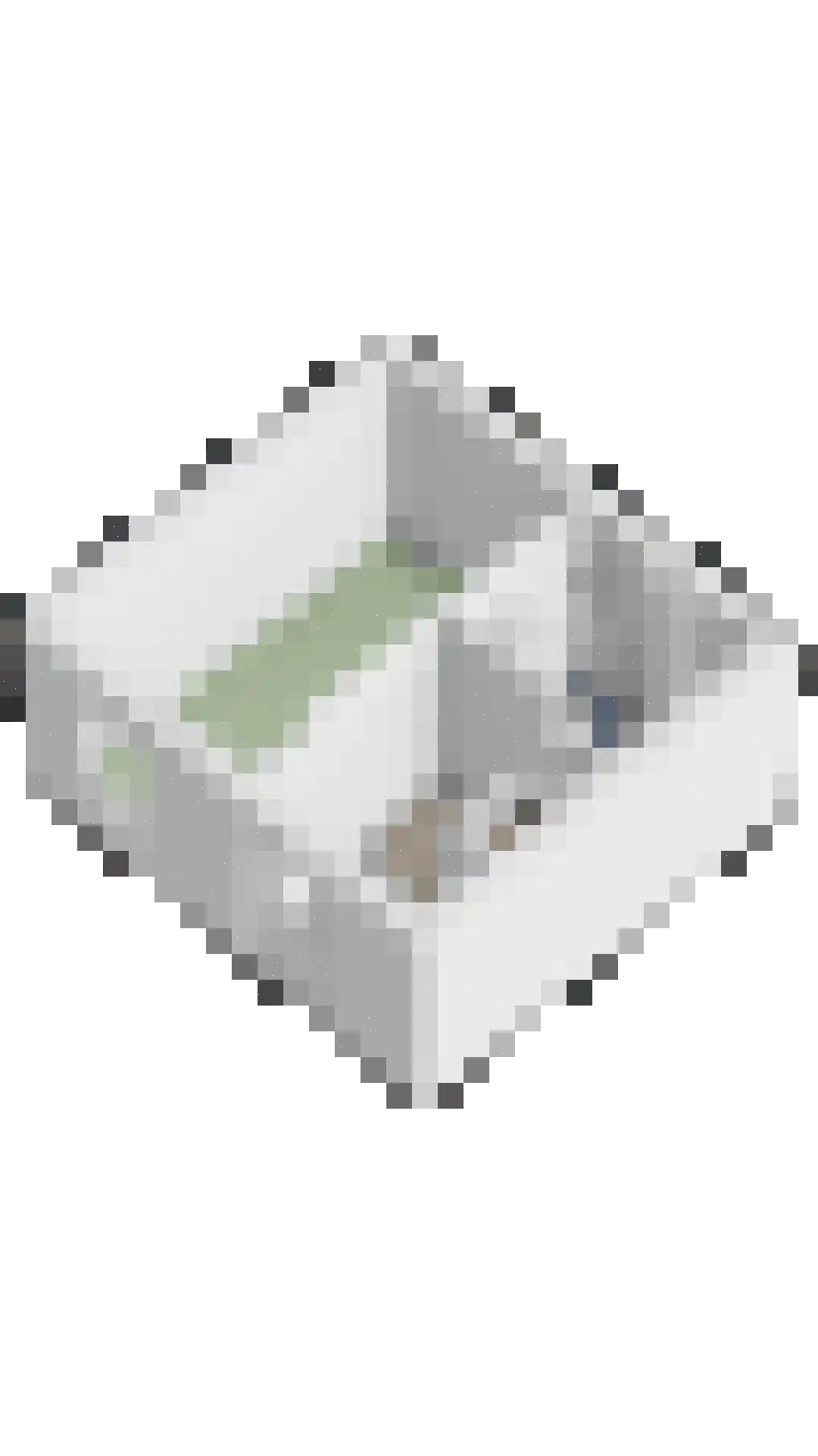 Speenkruid 36 Pijnacker thumbnail 40