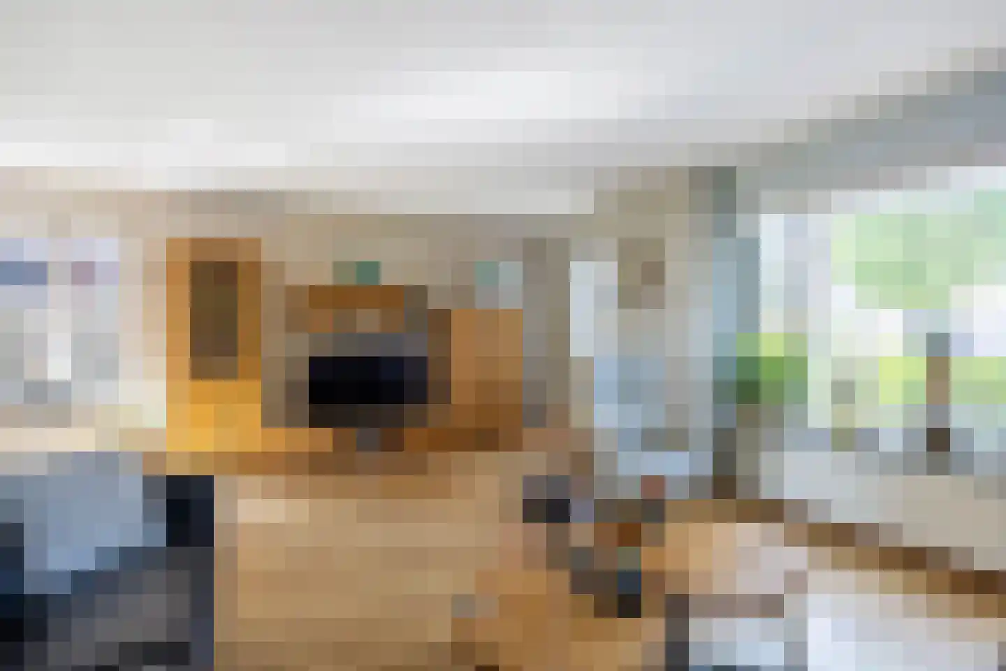 Speenkruid 38 A Bedum thumbnail 12