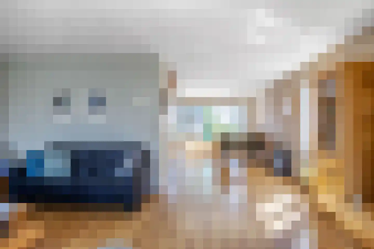 Speenkruid 38 A Bedum thumbnail 13