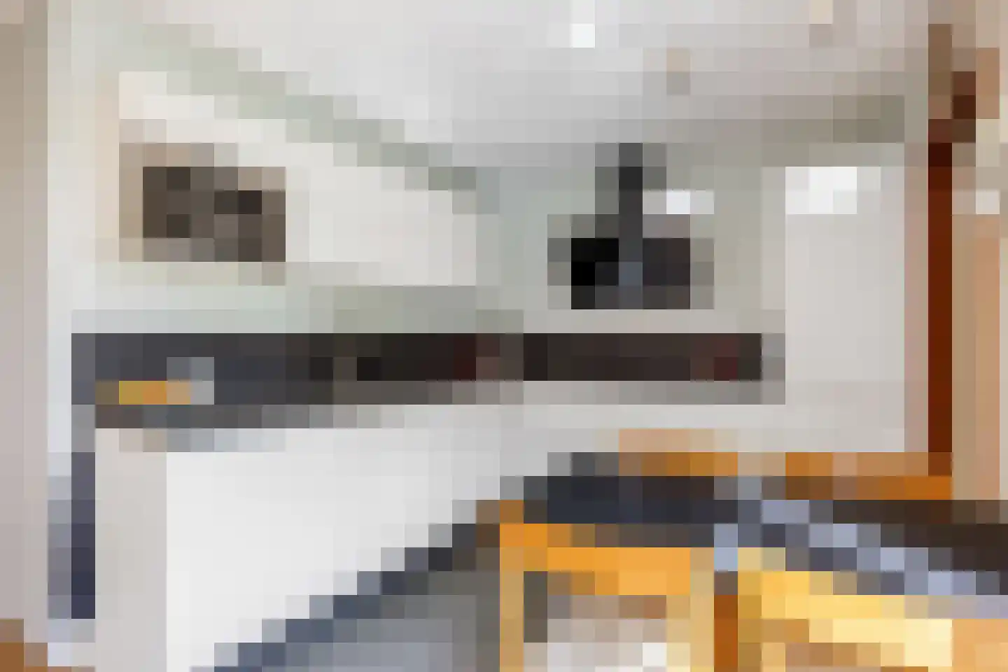Speenkruid 38 A Bedum thumbnail 16