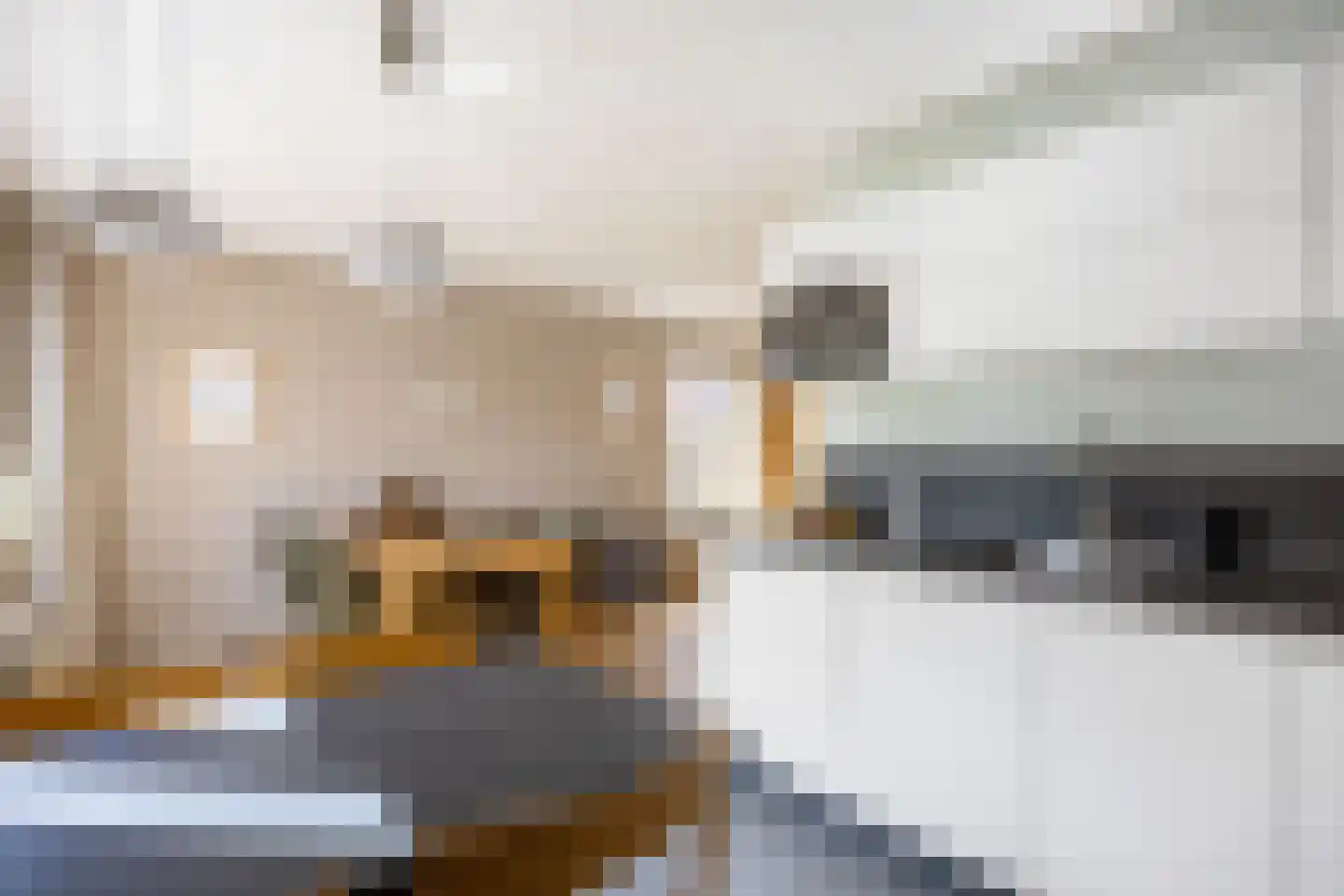 Speenkruid 38 A Bedum thumbnail 17