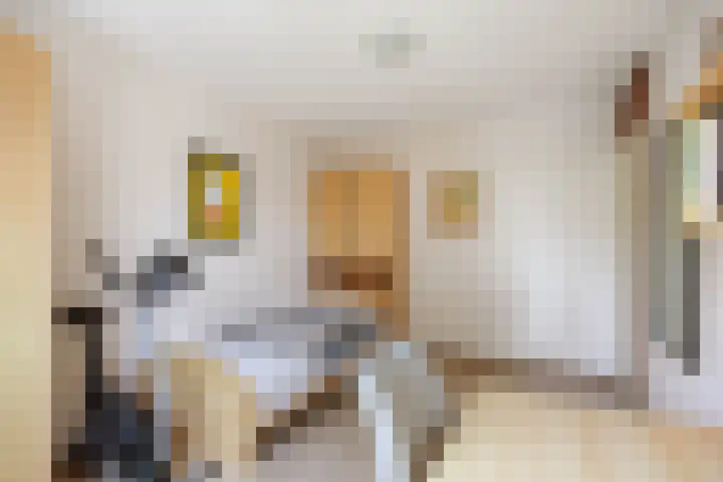 Speenkruid 38 A Bedum thumbnail 22