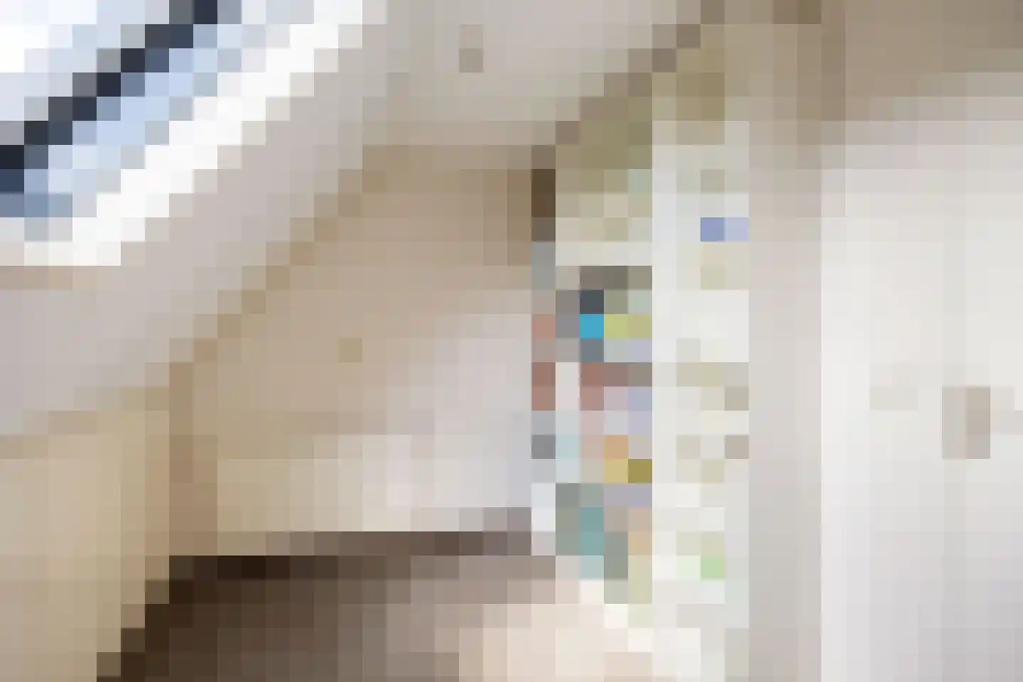 Speenkruid 38 A Bedum thumbnail 28