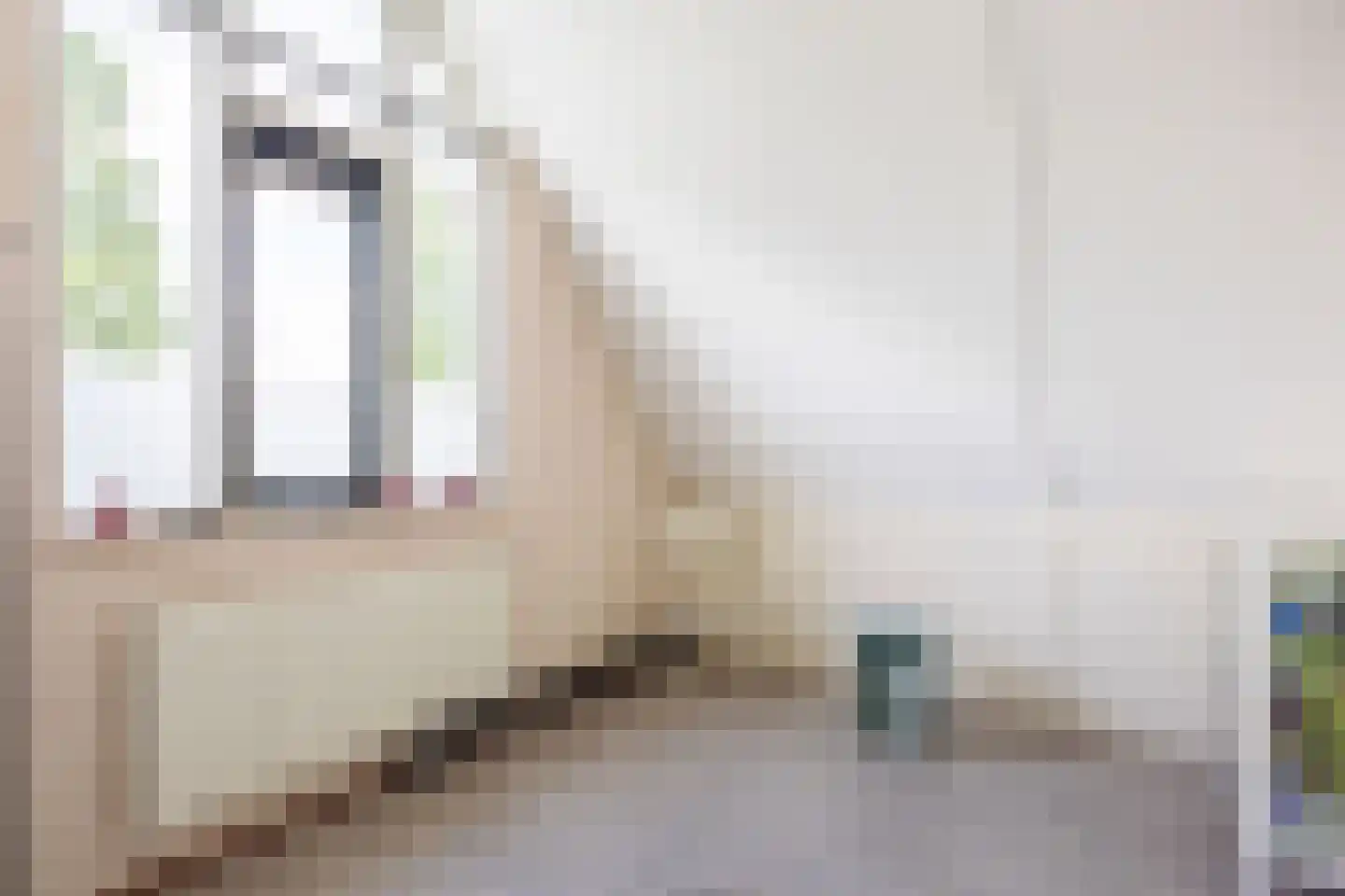 Speenkruid 38 A Bedum thumbnail 29