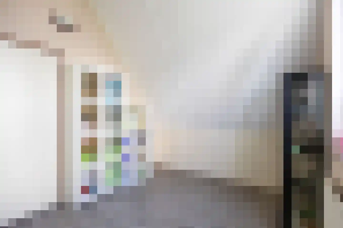 Speenkruid 38 A Bedum thumbnail 30