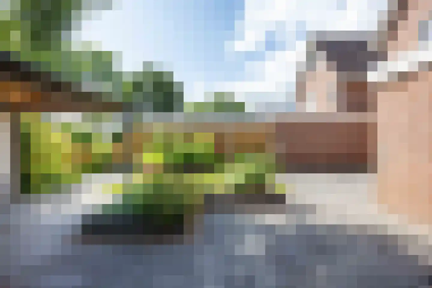 Speenkruid 38 A Bedum thumbnail 33
