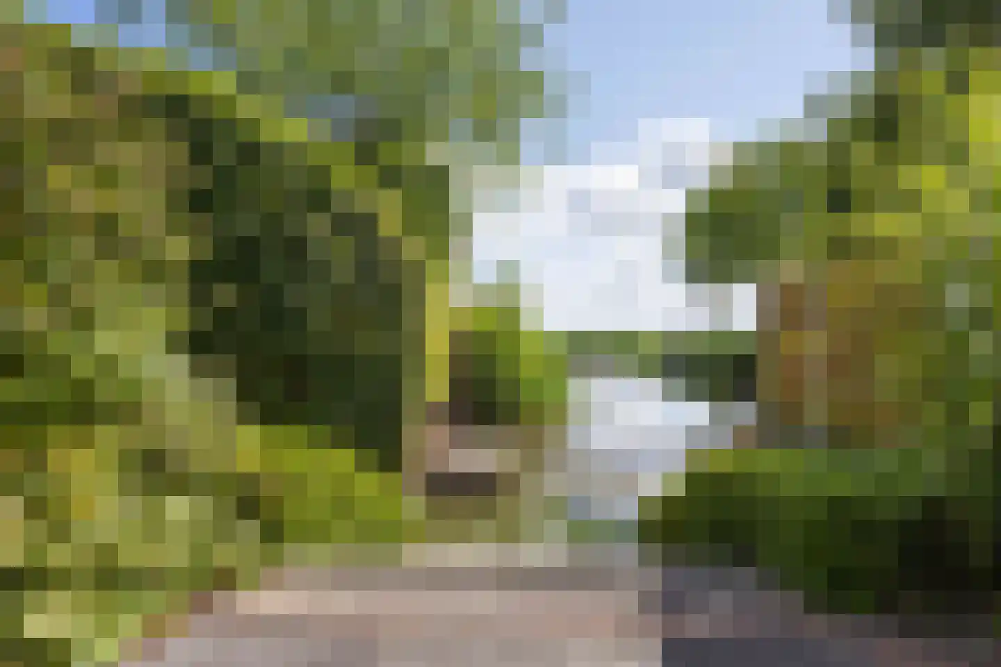 Speenkruid 38 A Bedum thumbnail 34