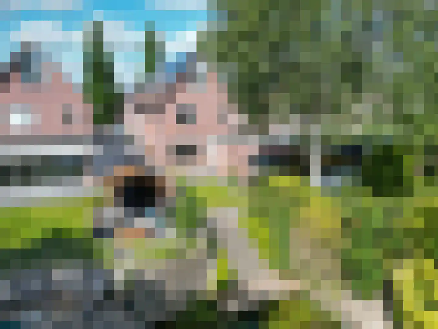 Speenkruid 38 A Bedum thumbnail 5