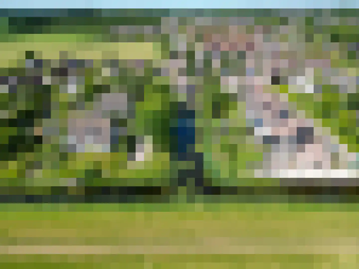 Speenkruid 38 A Bedum thumbnail 7