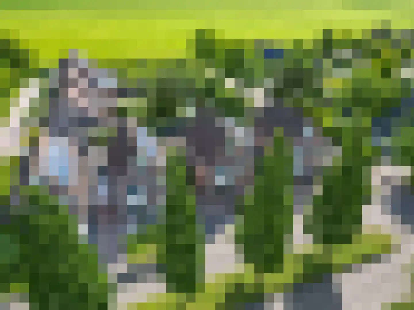 Speenkruid 38 A Bedum thumbnail 8