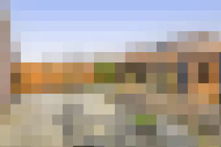 Speenkruid 38 Puttershoek thumbnail 31