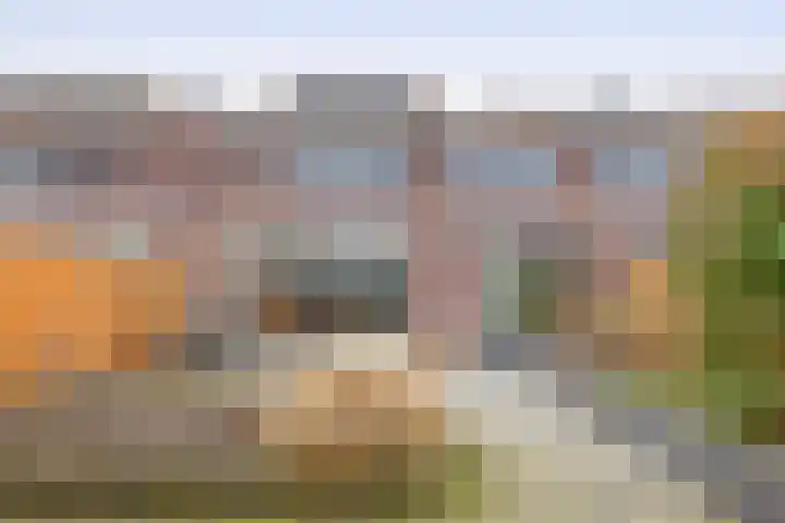 Speenkruid 38 Puttershoek thumbnail 33