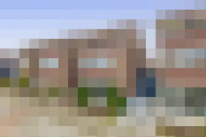 Speenkruid 38 Puttershoek thumbnail 6