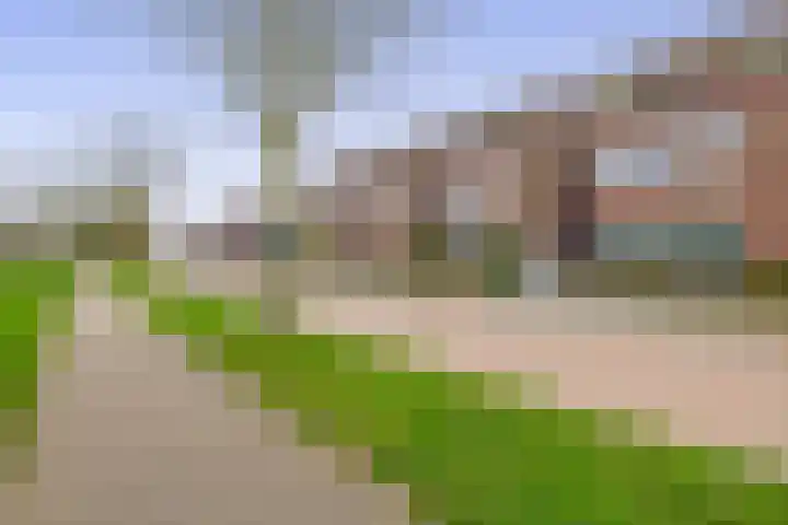 Speenkruid 38 Puttershoek thumbnail 7