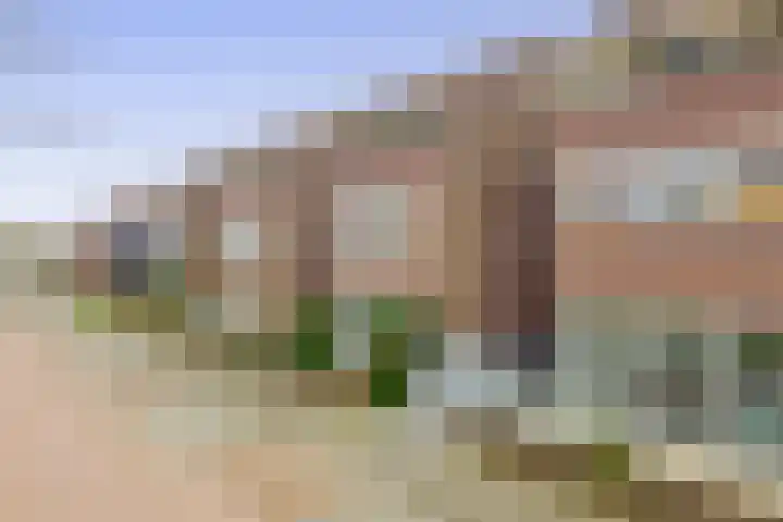 Speenkruid 38 Puttershoek thumbnail 8