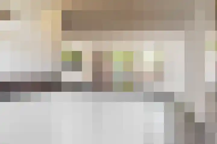 Speenkruid 4 Diemen thumbnail 14