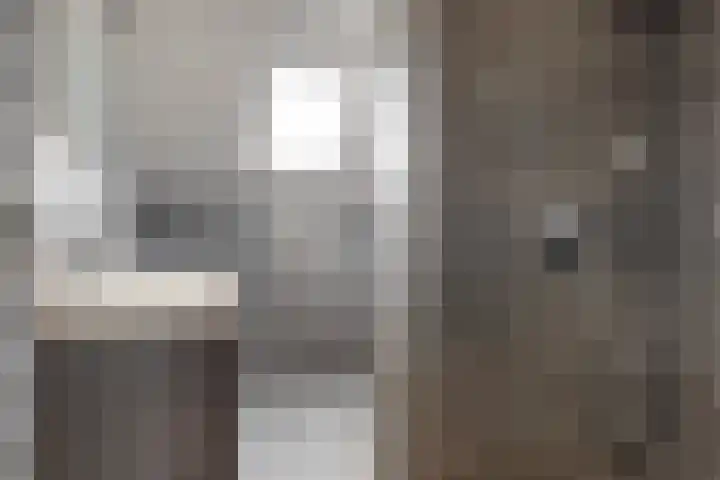 Speenkruid 4 Diemen thumbnail 22