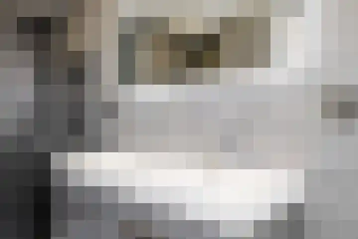 Speenkruid 4 Diemen thumbnail 23