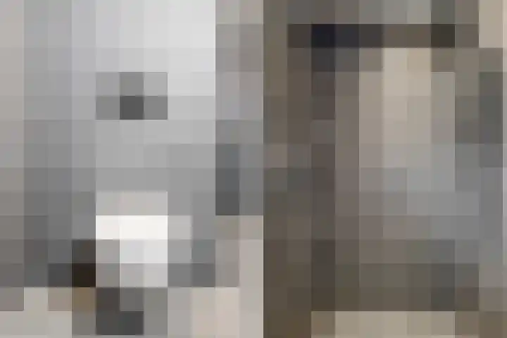 Speenkruid 4 Diemen thumbnail 24