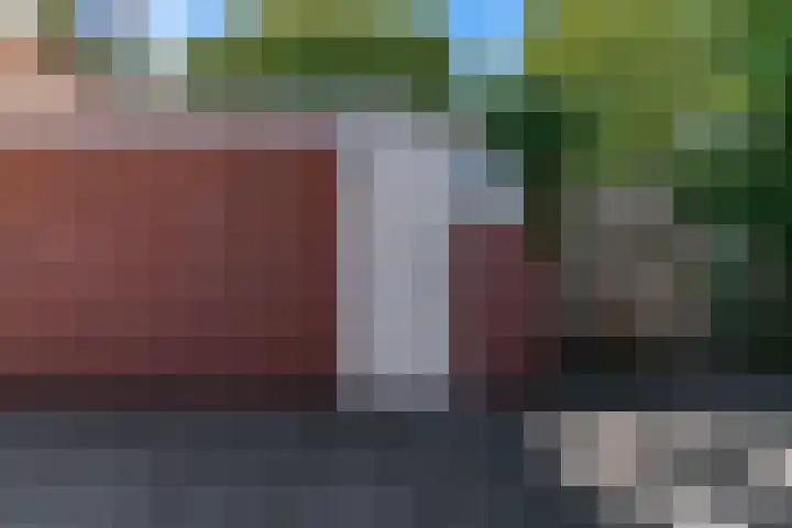 Speenkruid 4 Diemen thumbnail 31