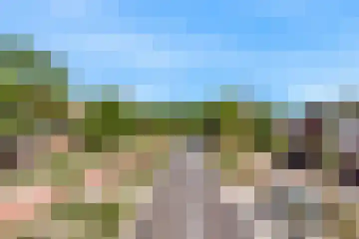 Speenkruid 4 Diemen thumbnail 33