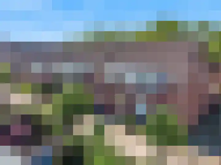 Speenkruid 4 Diemen thumbnail 39