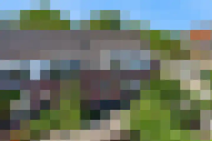 Speenkruid 4 Diemen thumbnail 4
