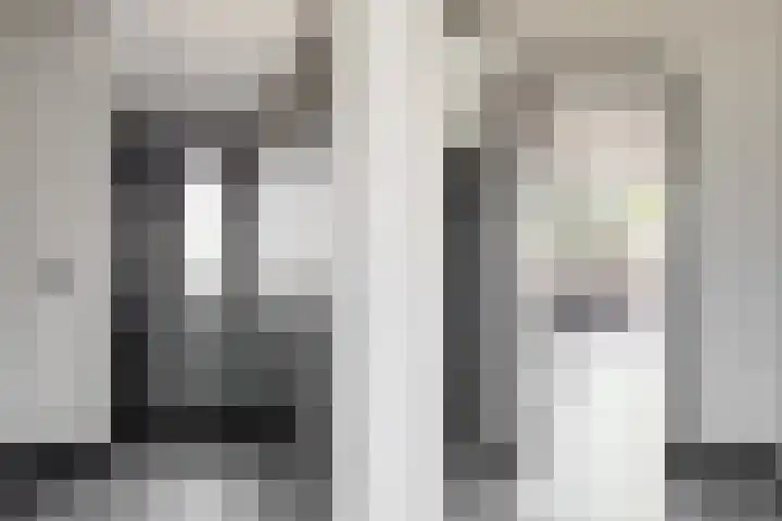 Speenkruid 4 Diemen thumbnail 6