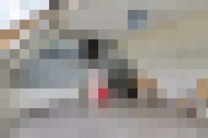 Speenkruid 4 Hoogvliet Rotterdam thumbnail 16