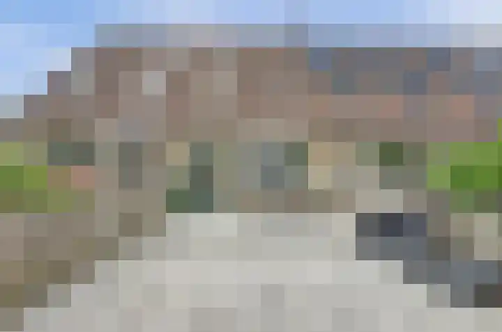 Speenkruid 4 Hoogvliet Rotterdam thumbnail 17