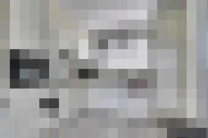 Speenkruid 4 Hoogvliet Rotterdam thumbnail 6