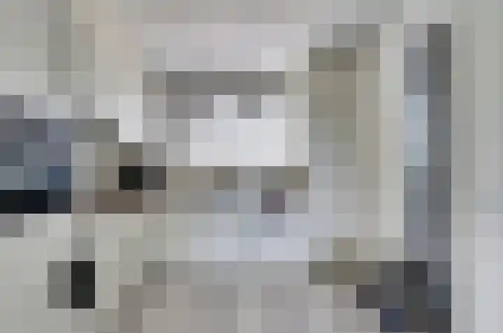 Speenkruid 4 Hoogvliet Rotterdam thumbnail 7
