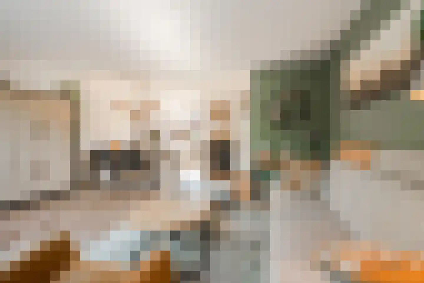 Speenkruid 40 Diemen thumbnail 13