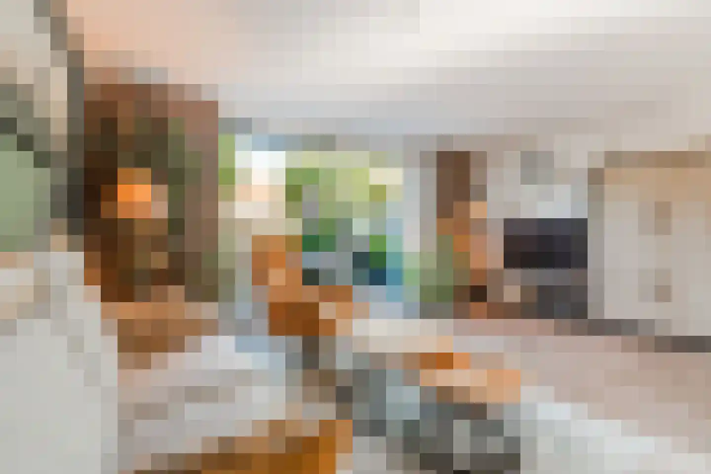 Speenkruid 40 Diemen thumbnail 14