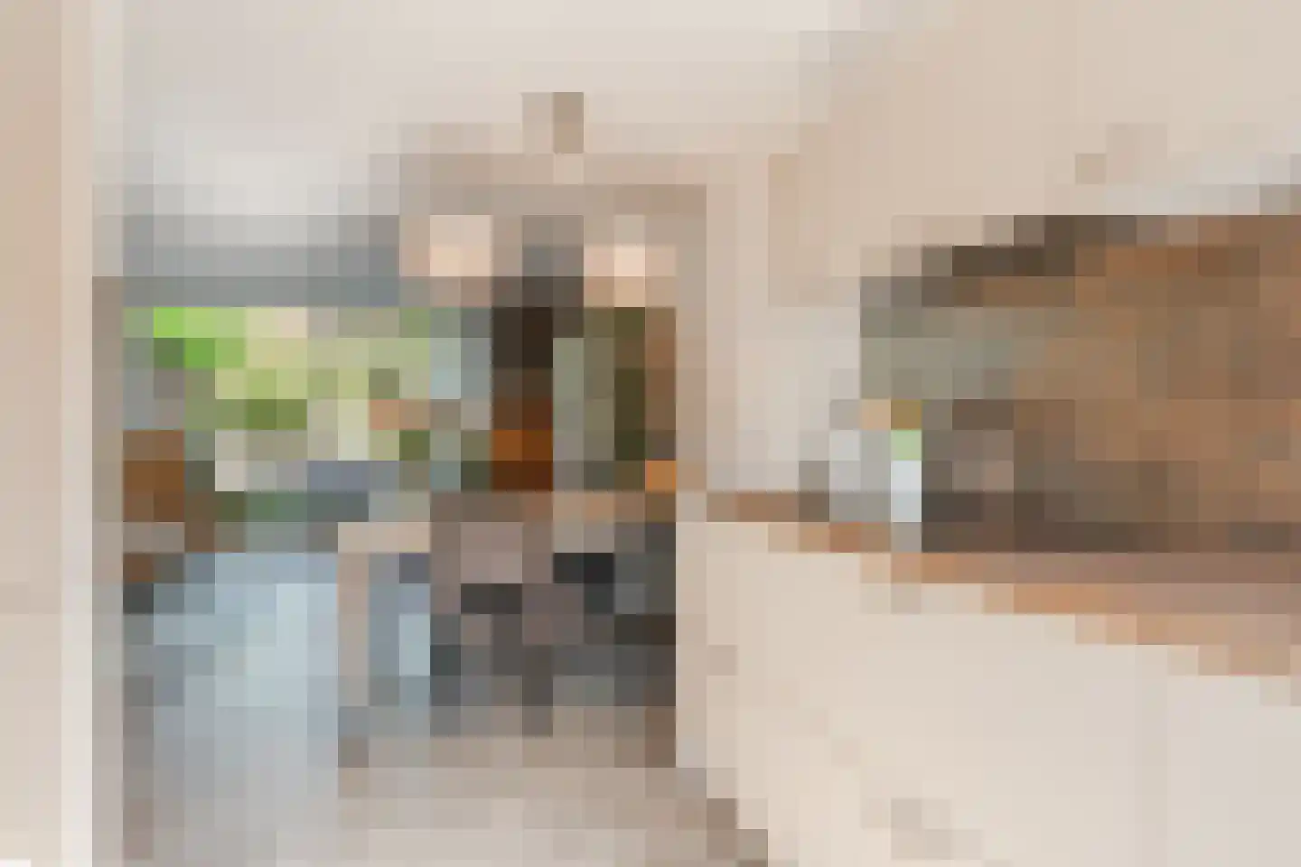 Speenkruid 40 Diemen thumbnail 22