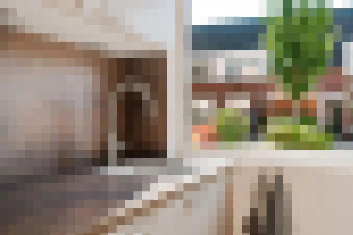 Speenkruid 40 Diemen thumbnail 24