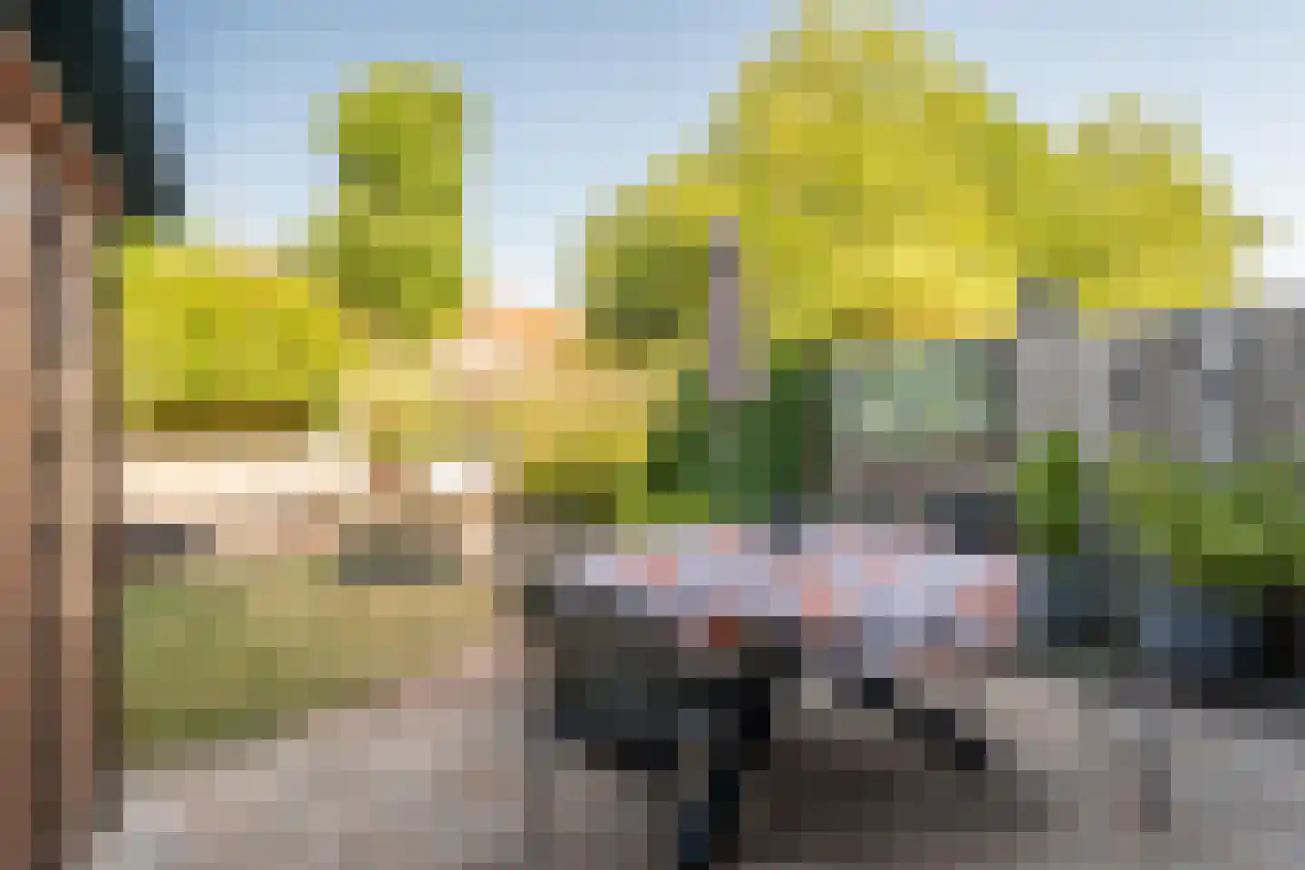Speenkruid 40 Diemen thumbnail 26