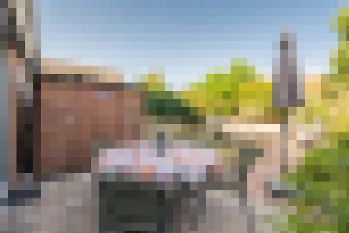 Speenkruid 40 Diemen thumbnail 27