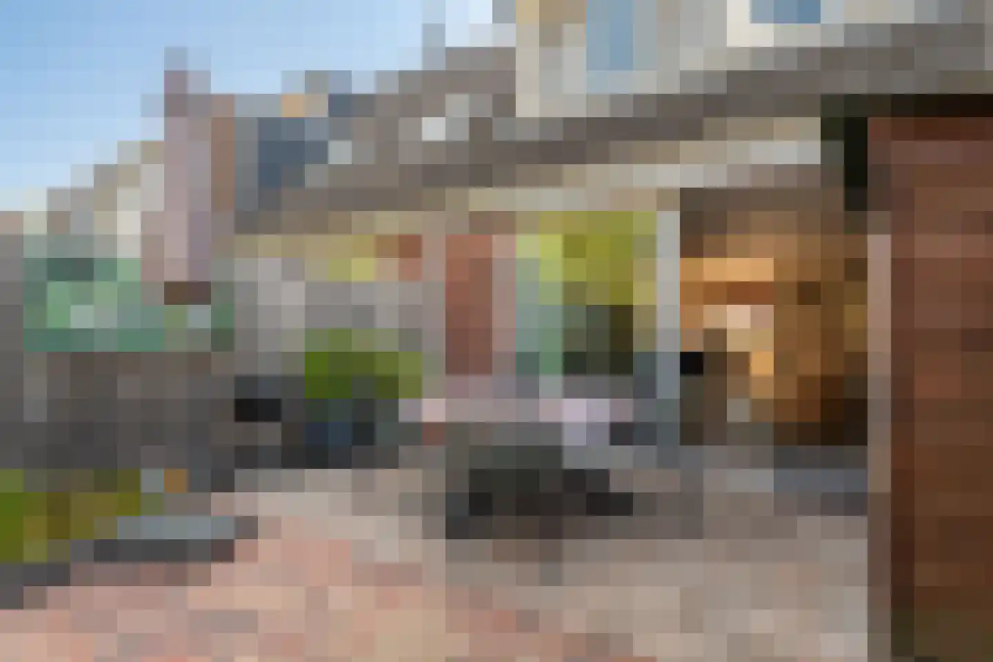 Speenkruid 40 Diemen thumbnail 30