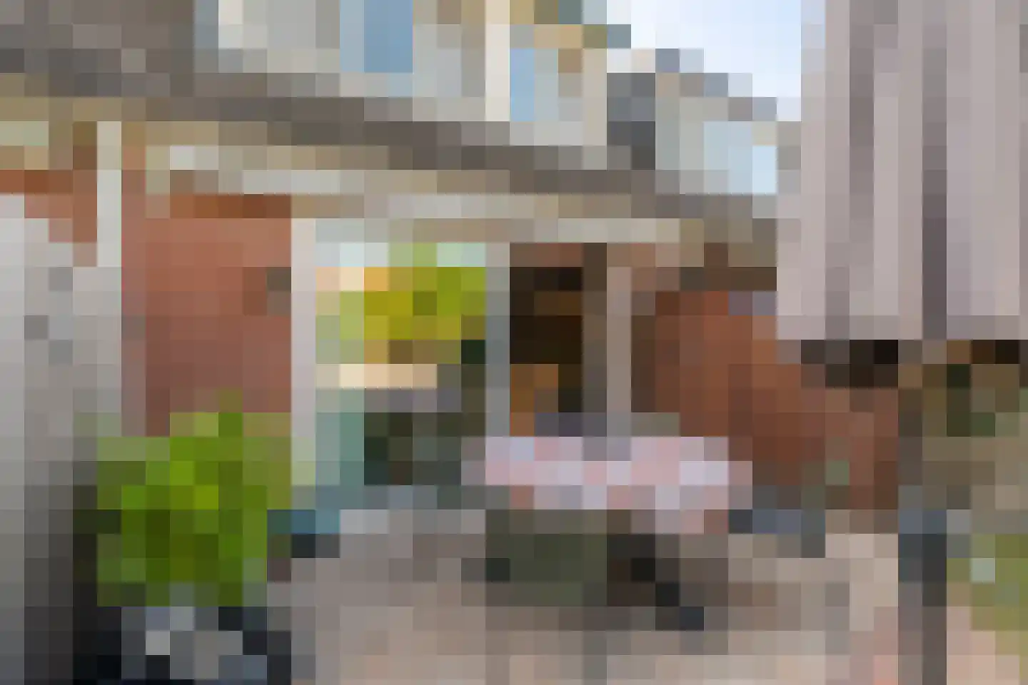 Speenkruid 40 Diemen thumbnail 31