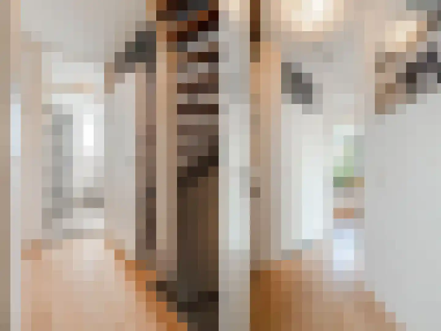 Speenkruid 40 Diemen thumbnail 32