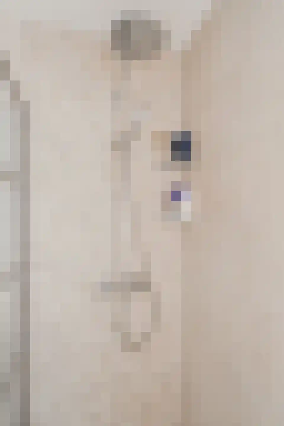 Speenkruid 40 Diemen thumbnail 35
