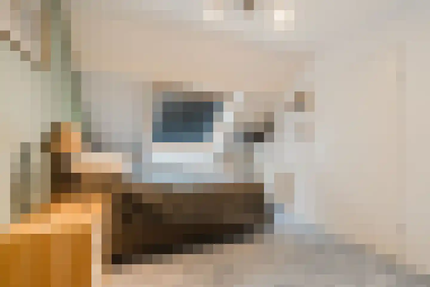 Speenkruid 40 Diemen thumbnail 43